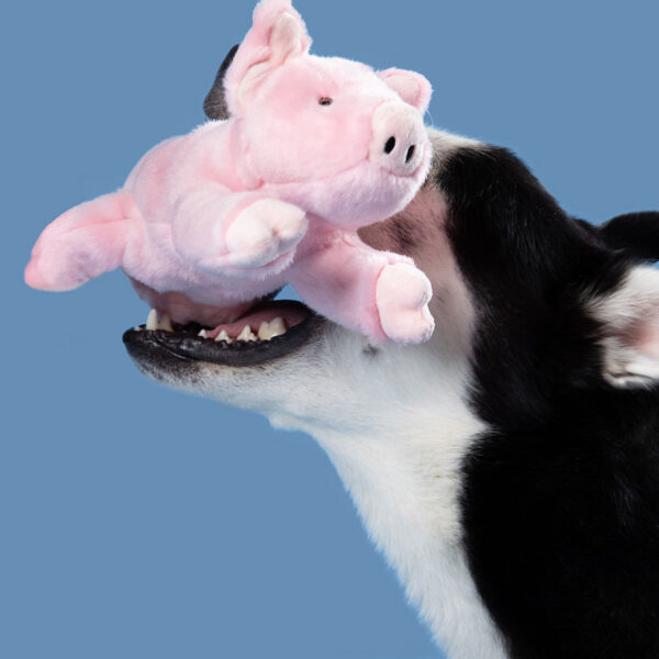 Fluff & Tuff Petey Pig Durable Plush Dog Toy (Medium)