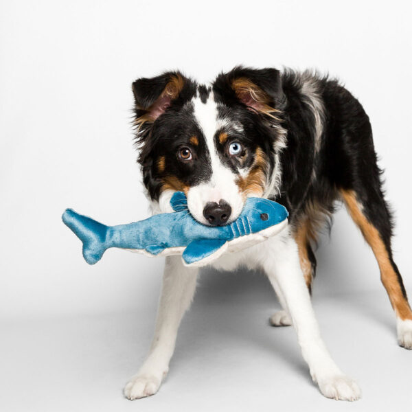 Fluff & Tuff Tank Shark Durable Plush Dog Toy (Small)