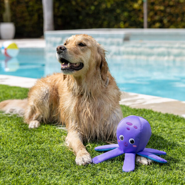 Petshop by Fringe Studio Bubbles Octopus Floating Dog Toy