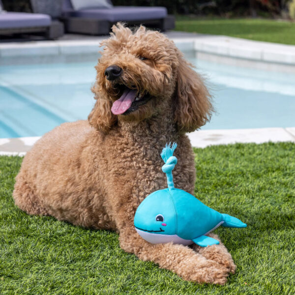 Petshop by Fringe Studio Splashy Whale Floating Dog Toy