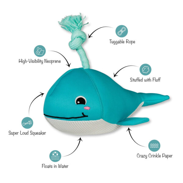 Petshop by Fringe Studio Splashy Whale Floating Dog Toy