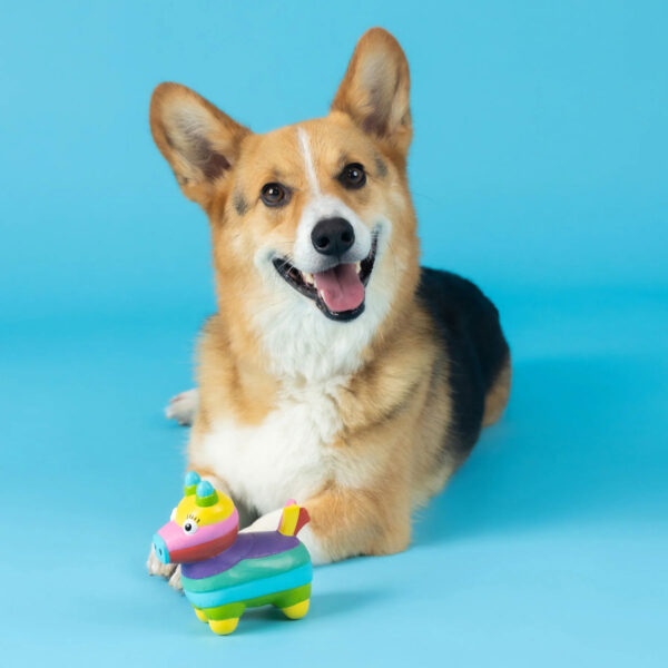 Petshop by Fringe Studio Life's a Paw-ty Latex Dog Toy