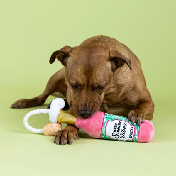 Petshop by Fringe Studio Sweet Summer Vibes Plush Dog Toy